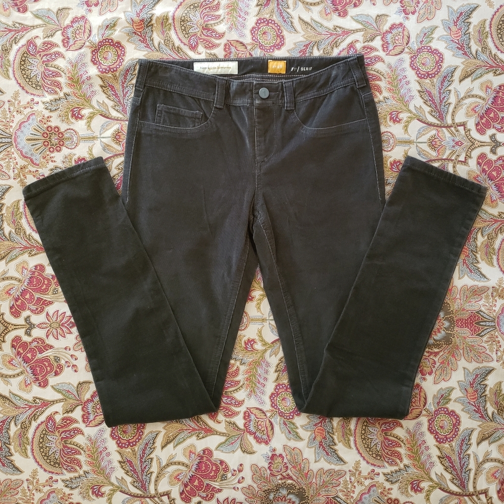 NWOT Anthropologie Pilcro & The Letterpress